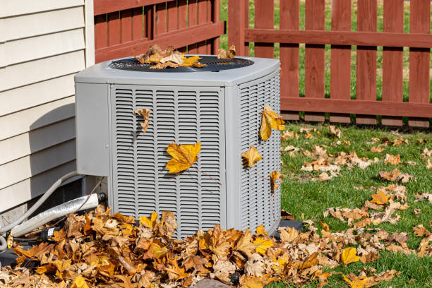Best Air Filters and Purifiers in Waterville, OH